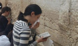 娱乐吃瓜君顶流,顶流明星背后的故事与真相